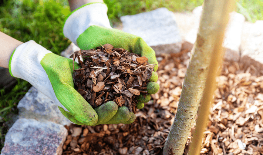 Mulching